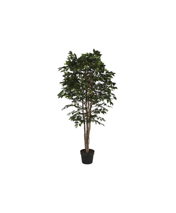 Tree Home ESPRIT Polyethylene Fig Tree 100 x 100 x 210 cm