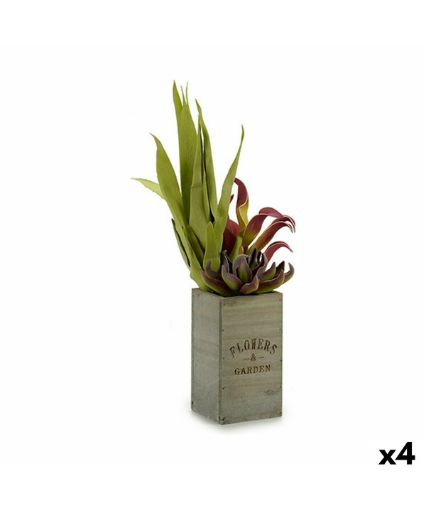 Decorative Plant Ibergarden Flowers Garden 10 x 50 x 10 cm Brown Green (4 Units)