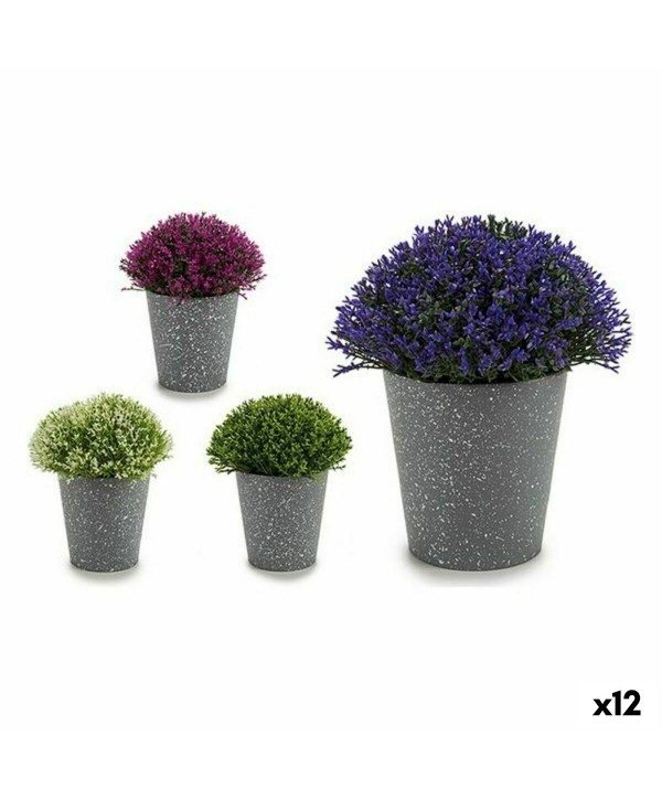 Decorative Plant Ibergarden A18124-91 Plastic 14 x 15 x 14 cm (12 Units)