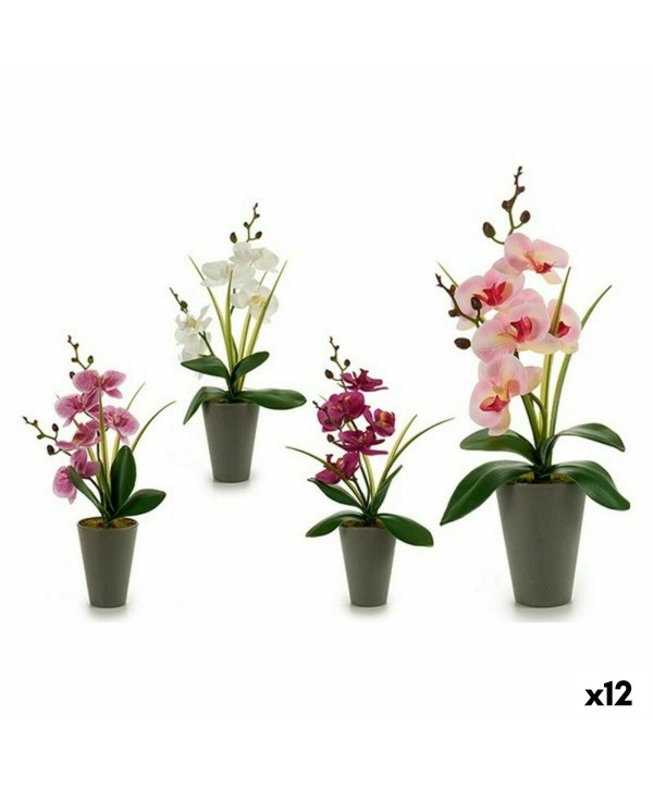 Dekorationspflanze Ibergarden A18124-33 Kunststoff Orchidee 8 x 35 x 14 cm (12 Stück)